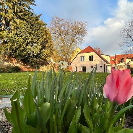 Om Yoga Center Apartment Slovenska Bistrica Bagian luar foto