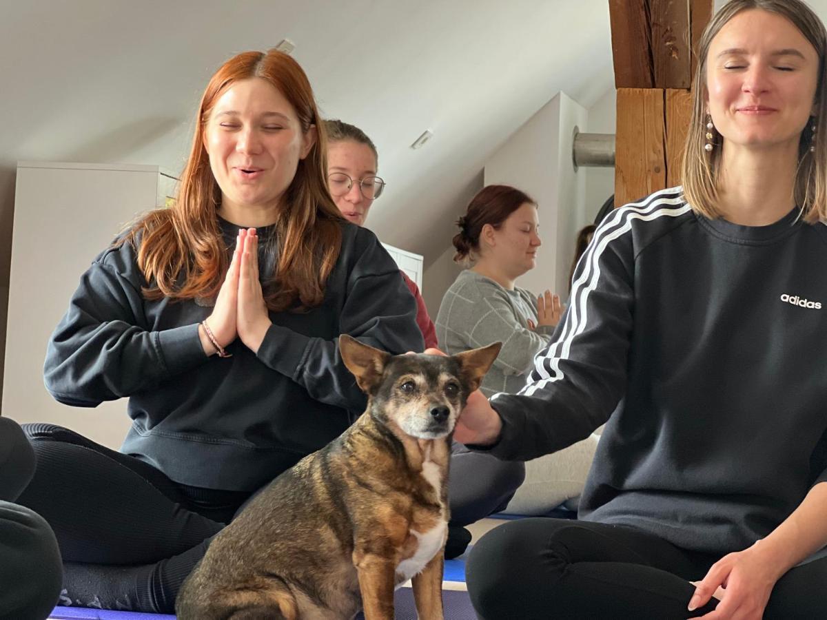 Om Yoga Center Apartment Slovenska Bistrica Bagian luar foto